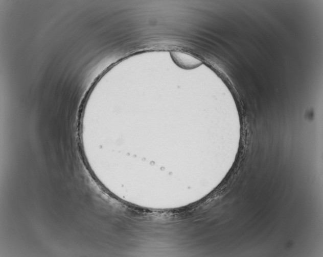 X0000115001087200912071134