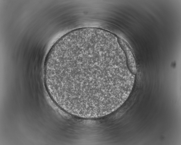 X0000115001088200912071134