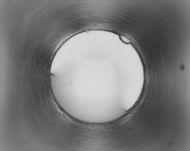 X0000115001089200912071134