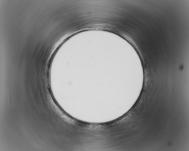 X0000115001091200912071134