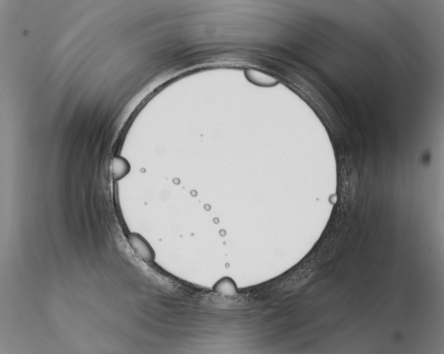 X0000115001092200912071134