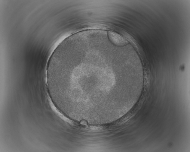 X0000115001095200912071134