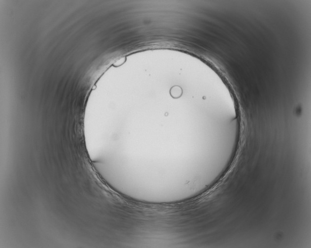 X0000115001097200912071134