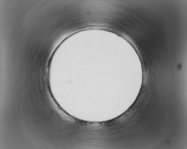 X0000115001099200912071134