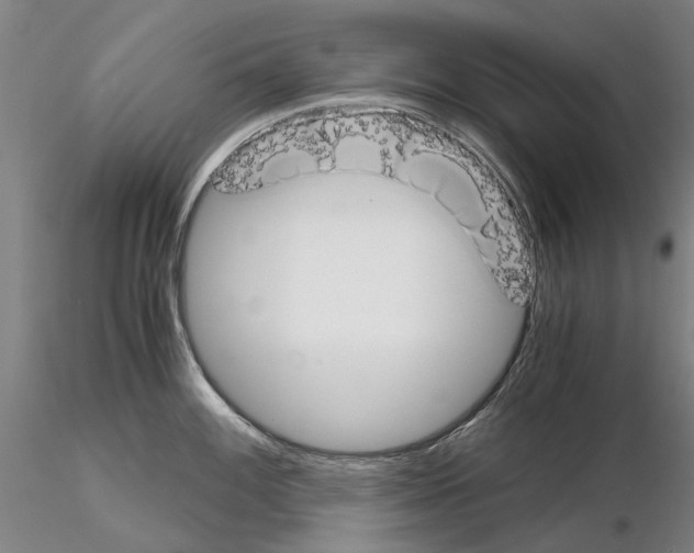 X0000115001100200912071134