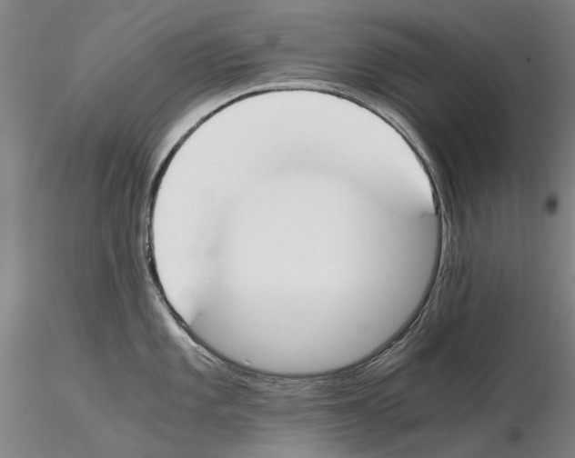 X0000115001101200912071134