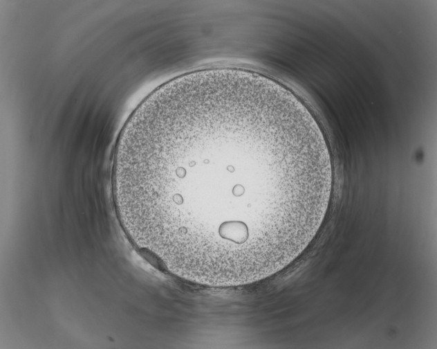 X0000115001102200912071134