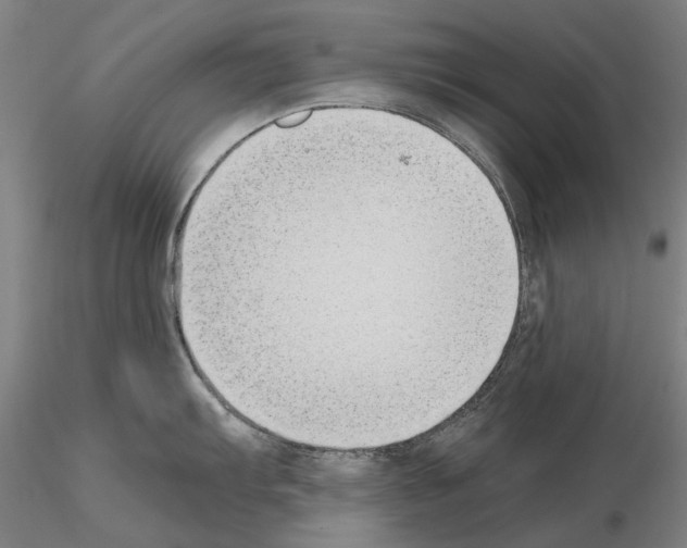 X0000115001103200912071134