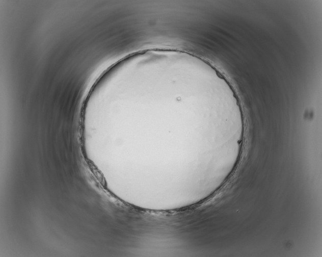 X0000115001104200912071134