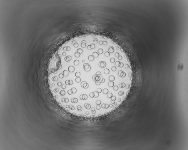 X0000115001105200912071133