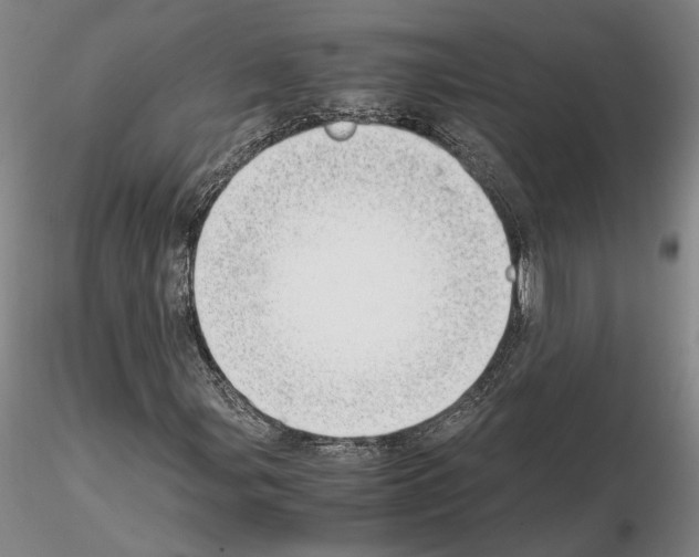 X0000115001107200912071133