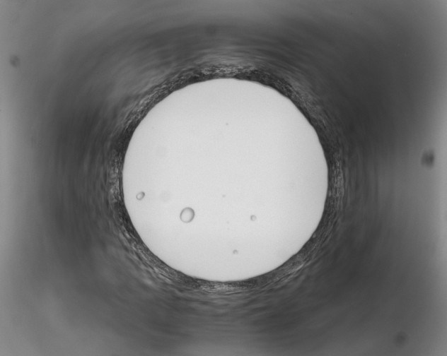 X0000115001109200912071133