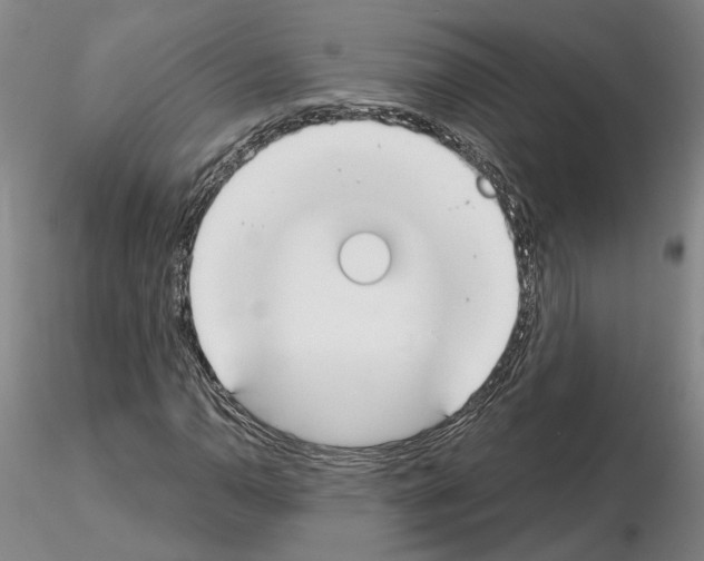 X0000115001110200912071133