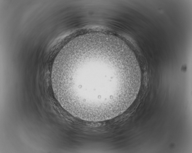 X0000115001111200912071133