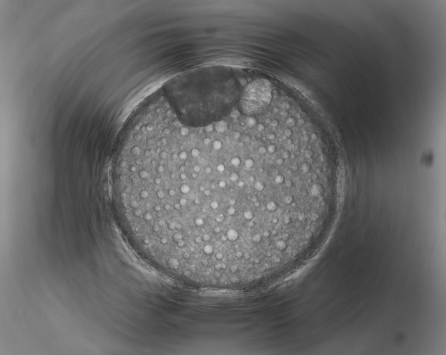 X0000115001113200912071133