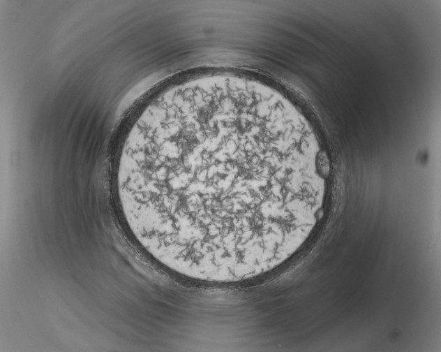 X0000115001114200912071133