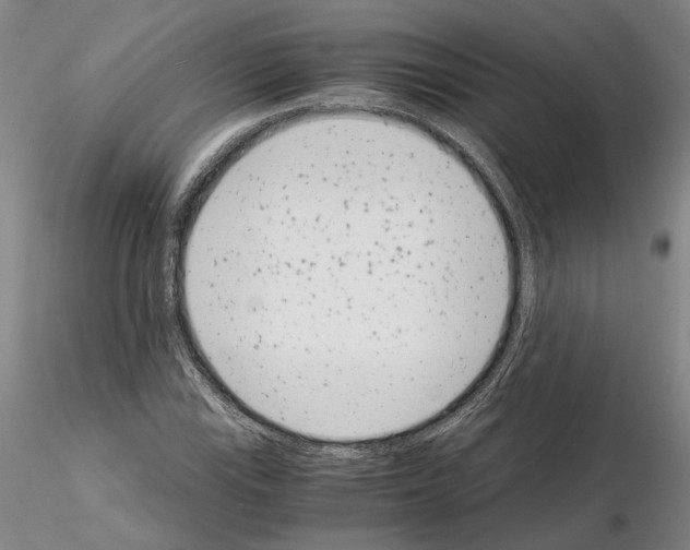 X0000115001115200912071133