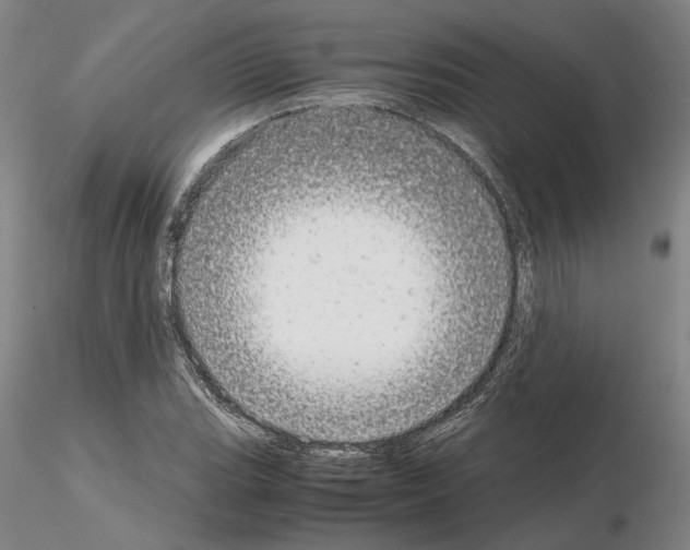 X0000115001119200912071133