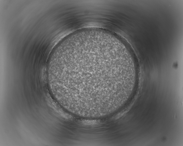 X0000115001121200912071133