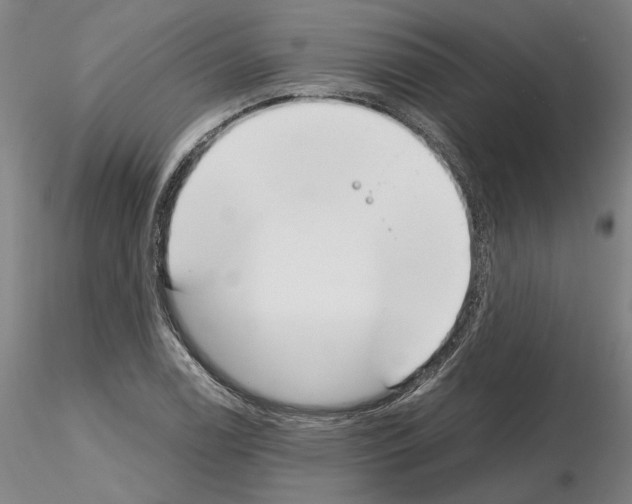 X0000115001122200912071133