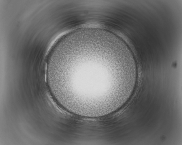 X0000115001123200912071133