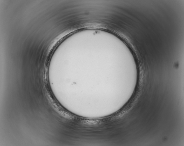 X0000115001125200912071133