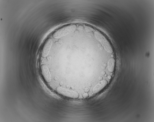 X0000115001126200912071133