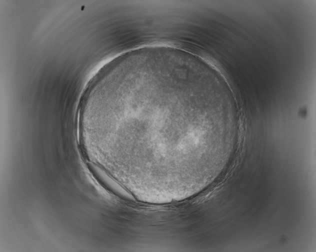 X0000115001127200912071133