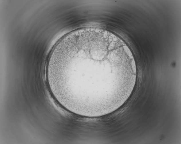 X0000115001131200912071133