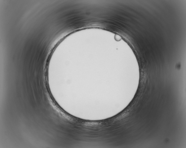 X0000115001135200912071133