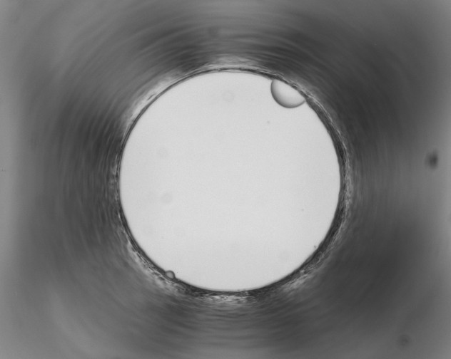 X0000115001137200912071133