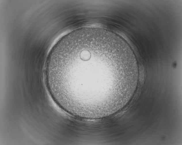 X0000115001139200912071133