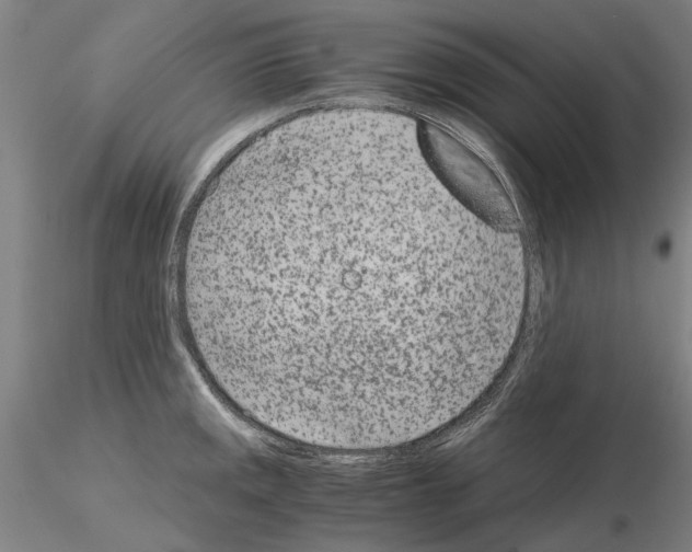 X0000115001141200912071133