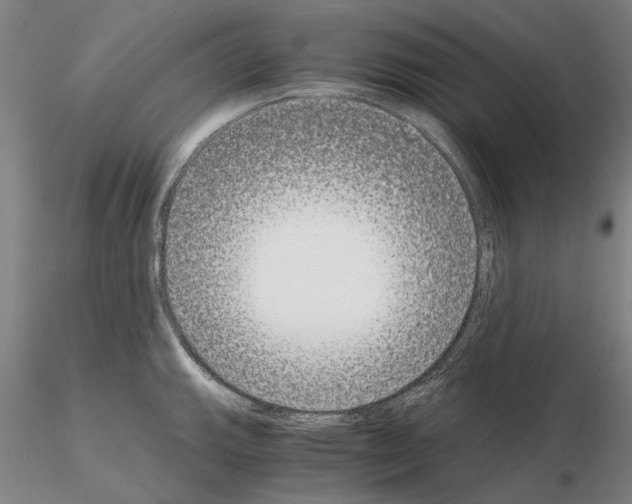 X0000115001143200912071133