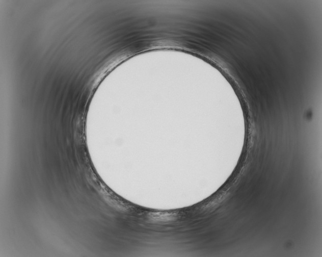 X0000115001145200912071133