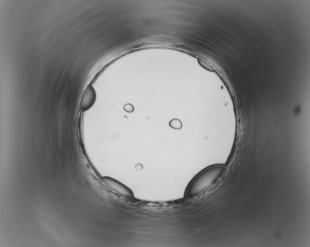 X0000115001146200912071133