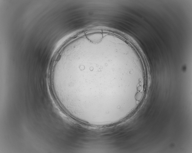 X0000115001149200912071134