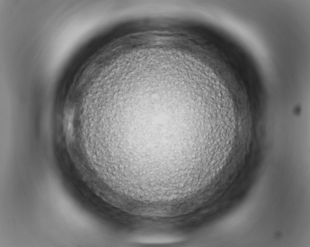 X0000115001150200912071134