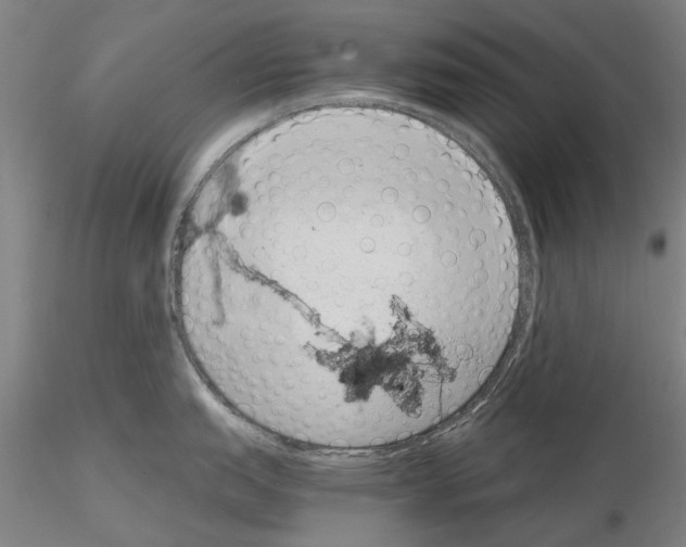 X0000115001151200912071134