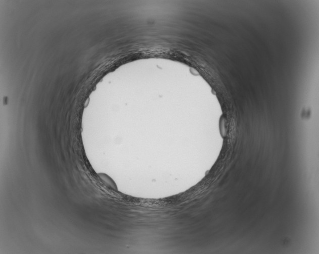 X0000115001153200912071133