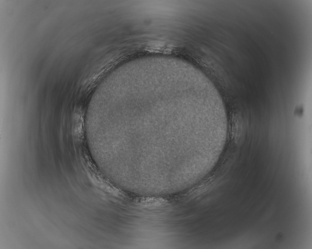 X0000115001154200912071133