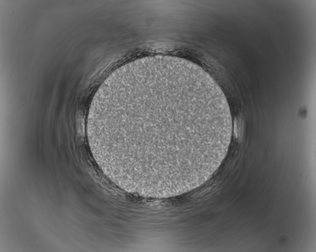 X0000115001155200912071133