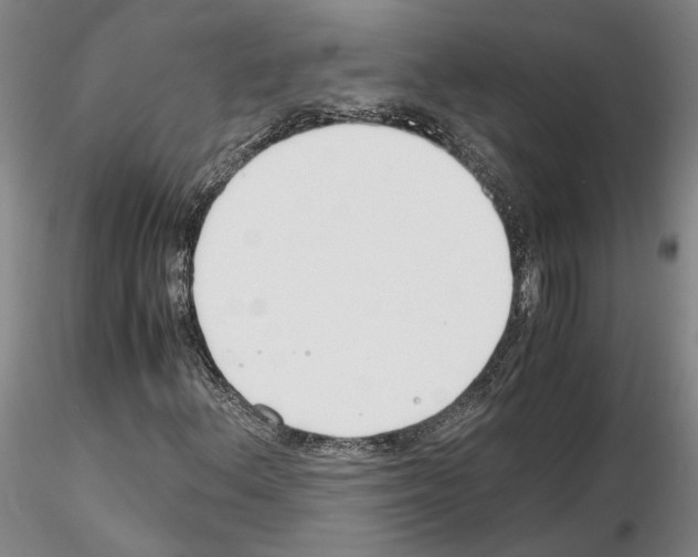 X0000115001156200912071133