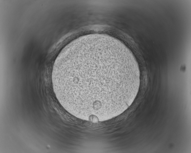 X0000115001158200912071133