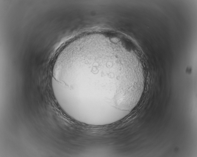 X0000115001160200912071133