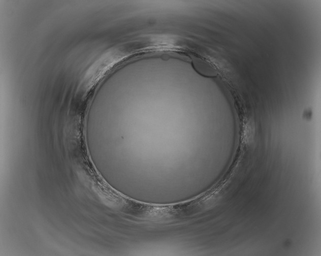 X0000115001161200912071133