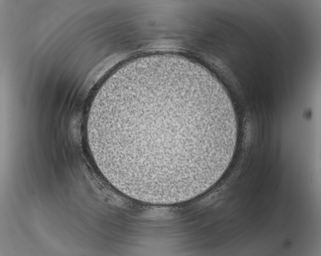 X0000115001162200912071133