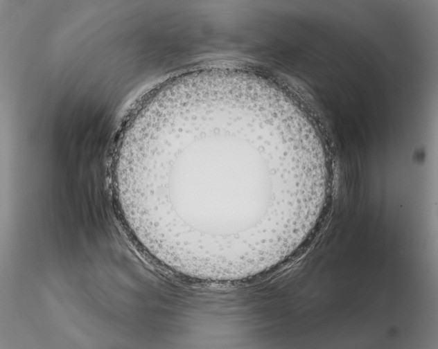 X0000115001164200912071133