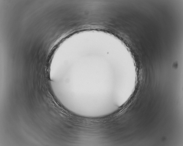 X0000115001165200912071133