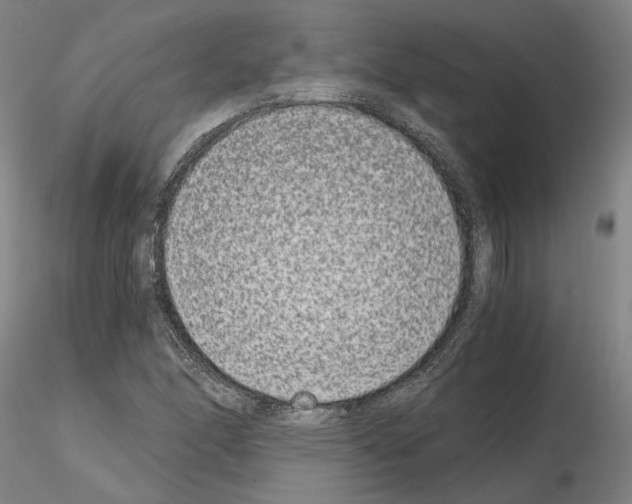 X0000115001166200912071133